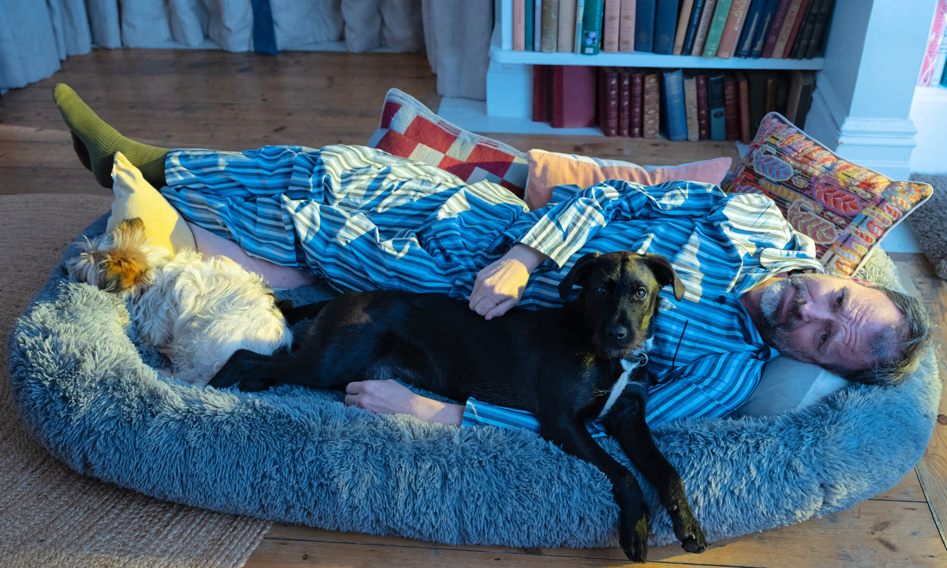 The Curious Concept of a Human Dog Bed