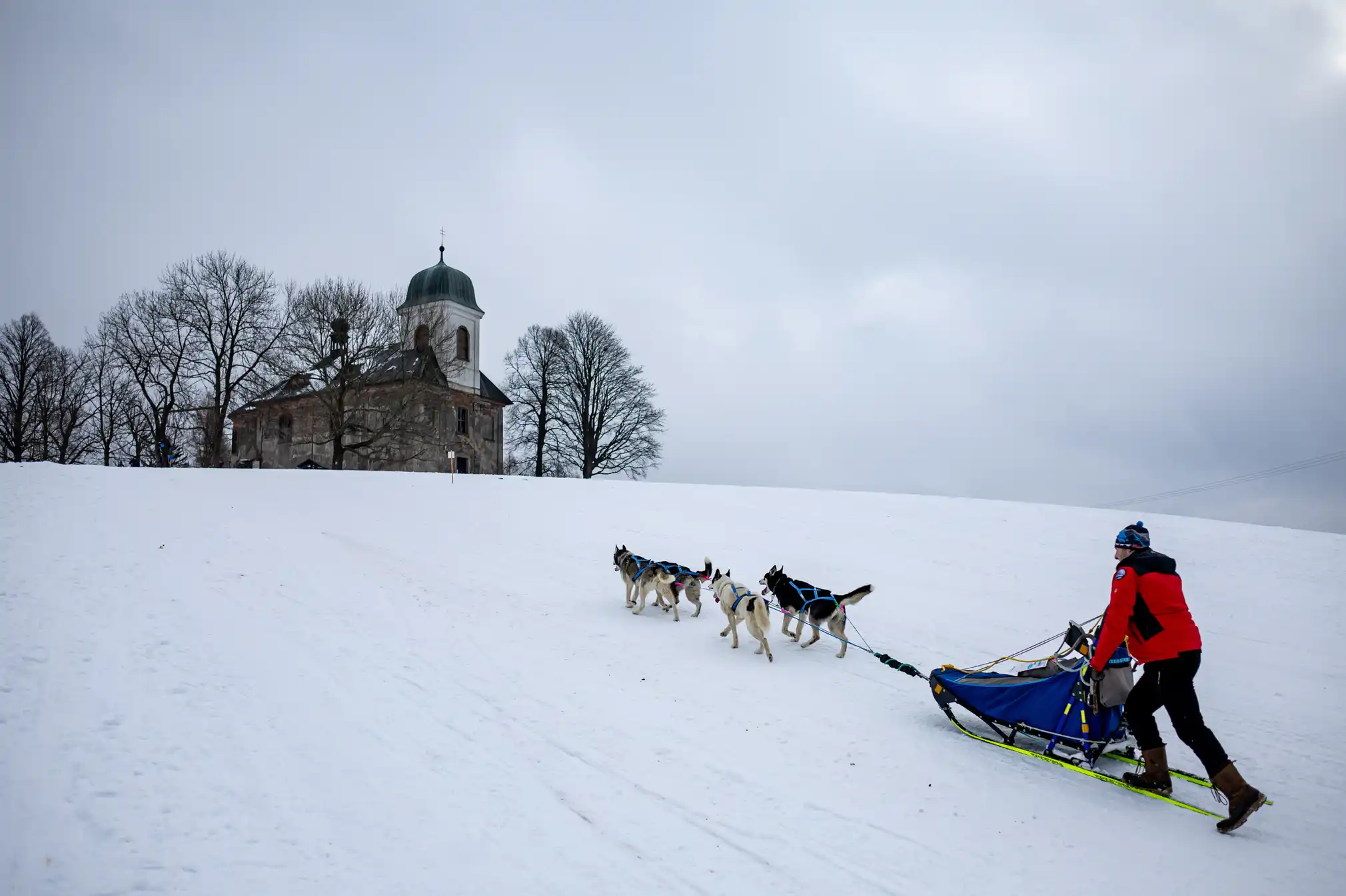 The Thrill of the Czech Long Sled Dog Race