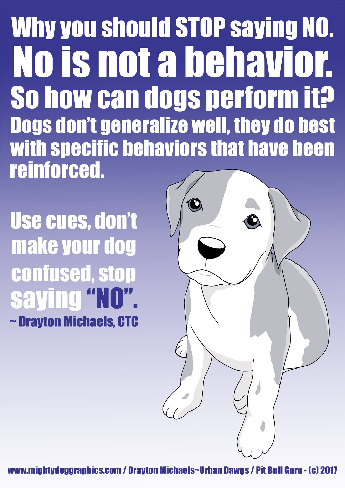 Understanding Dog Behavior: Why Dogs Don’t Get Mad at Youv