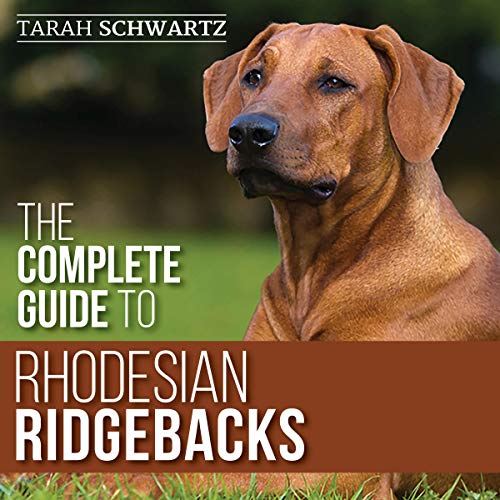 Your Ultimate Guide to Finding Rhodesian Ridgeback Puppies and Breeders Your Ultimate Guide to Finding Rhodesian Ridgeback Puppies and Breeders