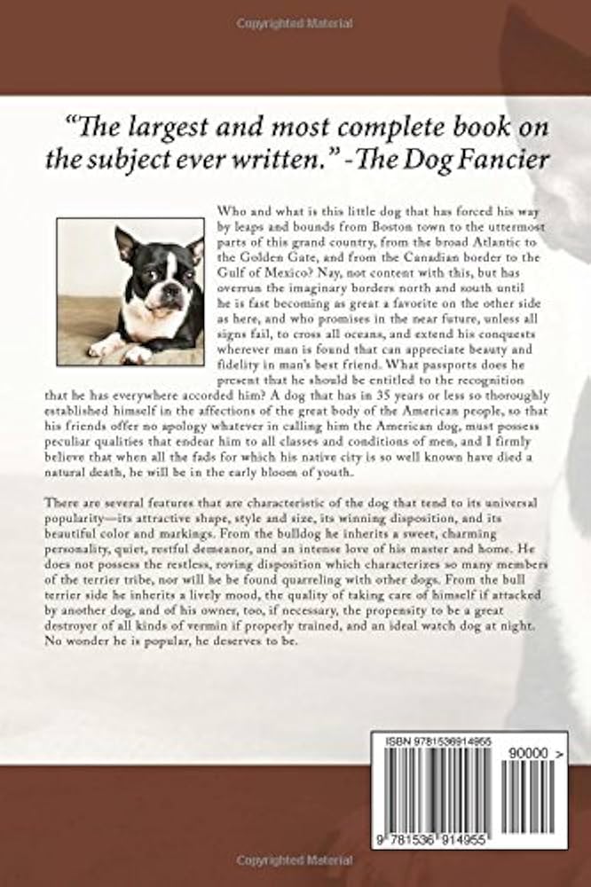 Your Guide to Finding Boston Terrier Puppies in the USA Your Guide to Finding Boston Terrier Puppies in the USA
