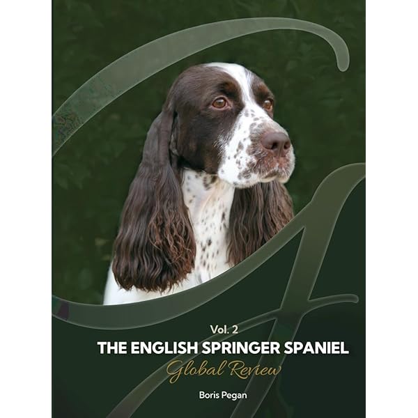 Unveiling the Enchanting World of the English Springer Spaniel Unveiling the Enchanting World of the English Springer Spaniel