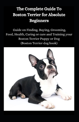 Your Guide to Finding Boston Terrier Puppies in the USA Your Guide to Finding Boston Terrier Puppies in the USA