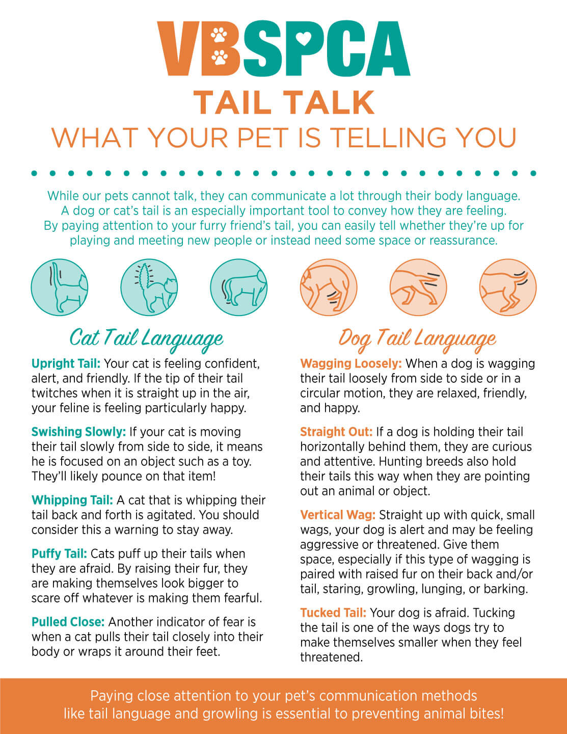 Tail Talk: What Your Dog's Wagging Tail is Really Saying - The Impact of Breed and Individual Differences